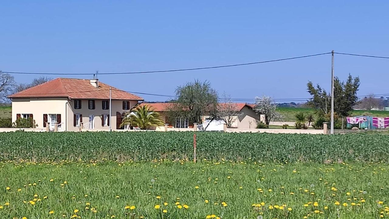 Le Domaine De Laurolie * Gaujacq