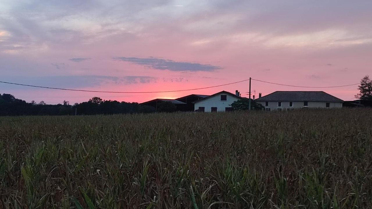 Le Domaine De Laurolie